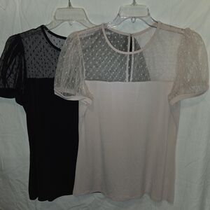 Elegant Sheer Sleeve Tops - Black and Cream